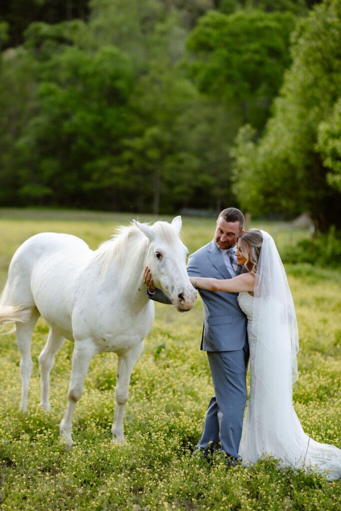 Bride and groom gently petting a white horse in a blooming meadow at Honeysuckle Hills, captured by a smoky mountain elopement photographer.