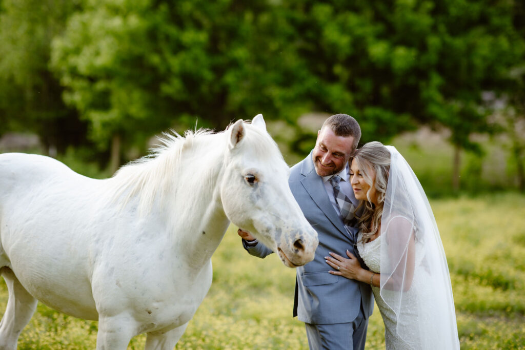 Bride and groom gently petting a white horse in a blooming meadow at Honeysuckle Hills, captured by a smoky mountain elopement photographer.